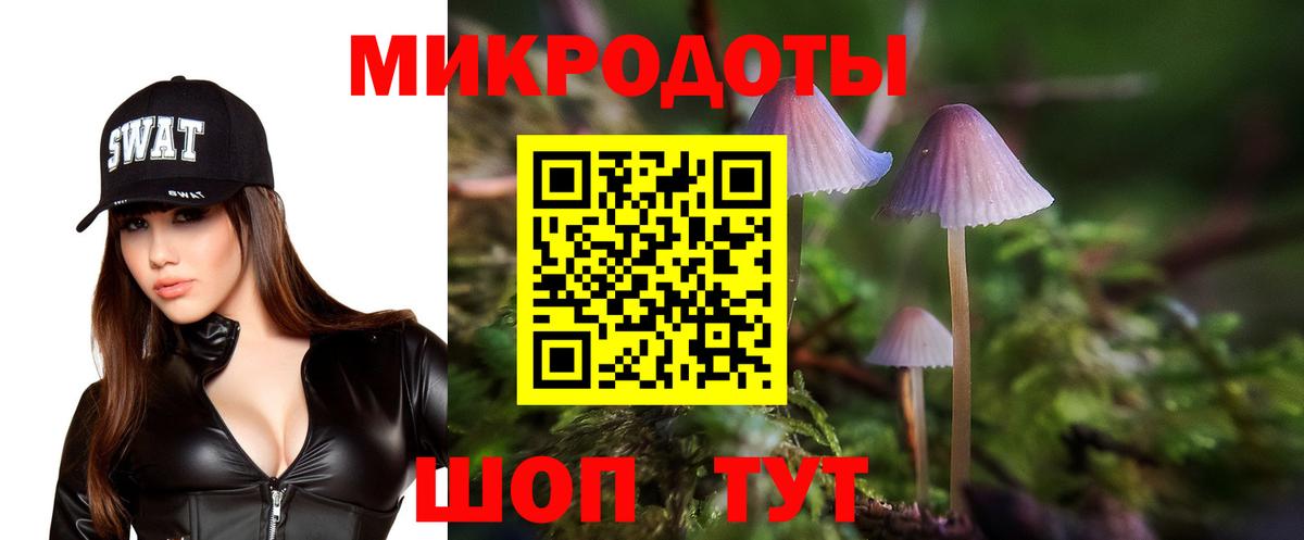 Мончегорск  Галлюциногенные грибы прущие грибы  Вход с VPN 